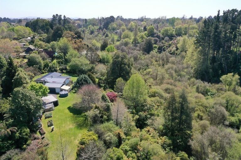 Photo of property in 82c Cherry Lane, Tamahere, Hamilton, 3283