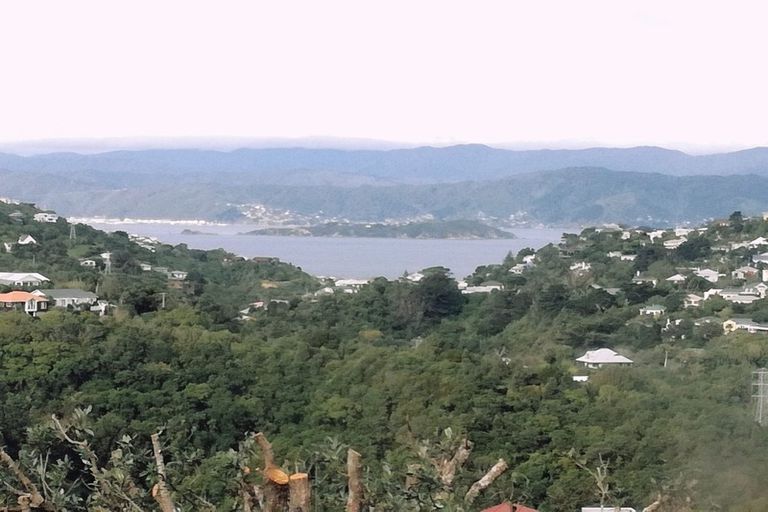 Photo of property in 51 Winston Street, Crofton Downs, Wellington, 6035