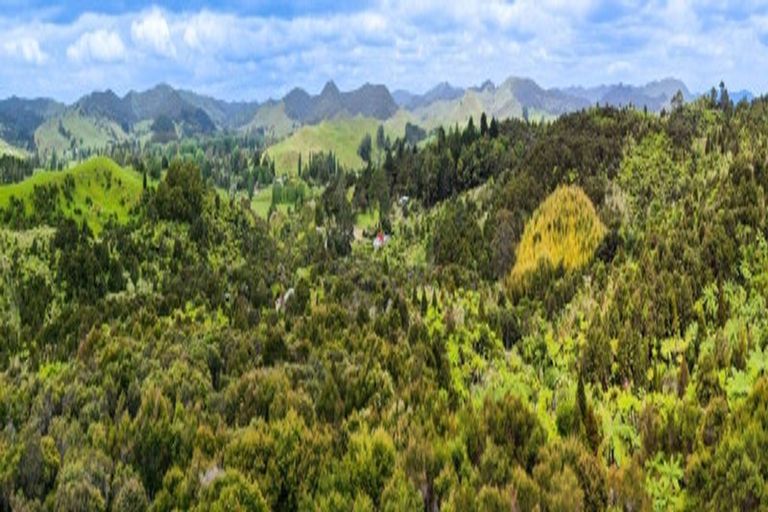 Photo of property in 1248a Oruru Road, Peria, Kaitaia, 0482