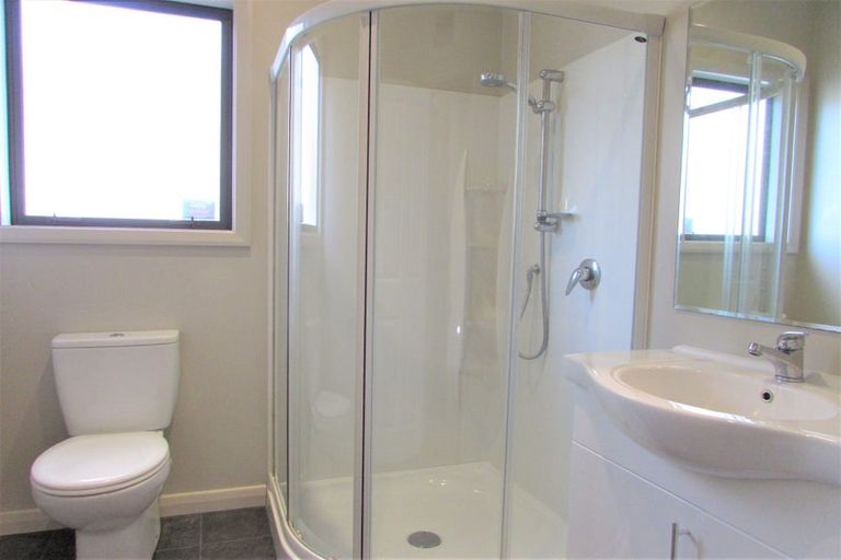 Photo of property in 41 Hall Crescent, Epuni, Lower Hutt, 5011