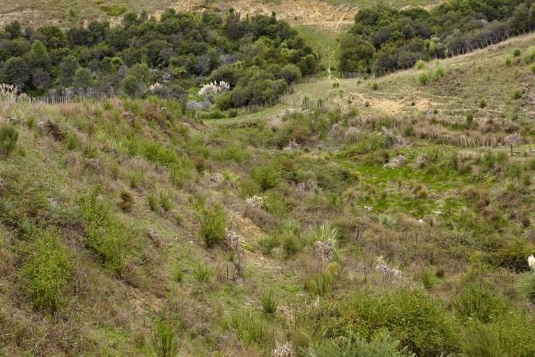 Photo of property in 43 Haul Road, Tahekeroa, Kaukapakapa, 0873