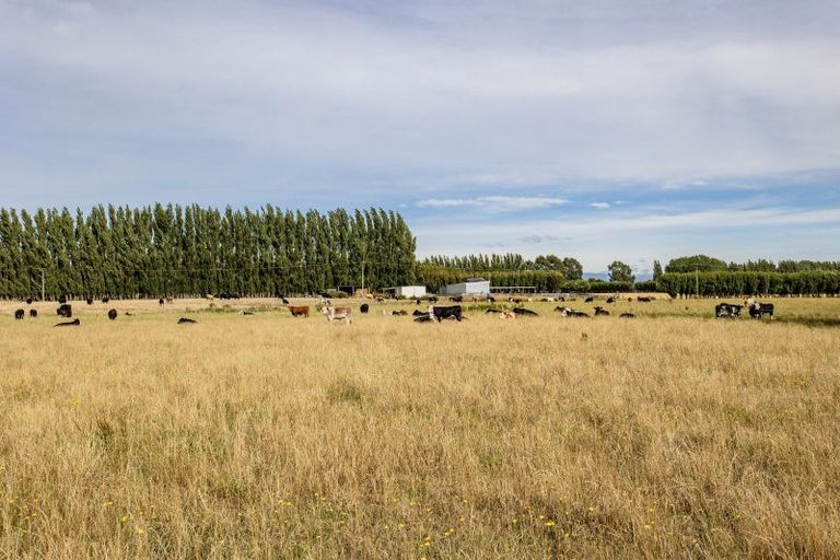 Photo of property in 10 Jelfs Road, Woodend Beach, Woodend, 7691