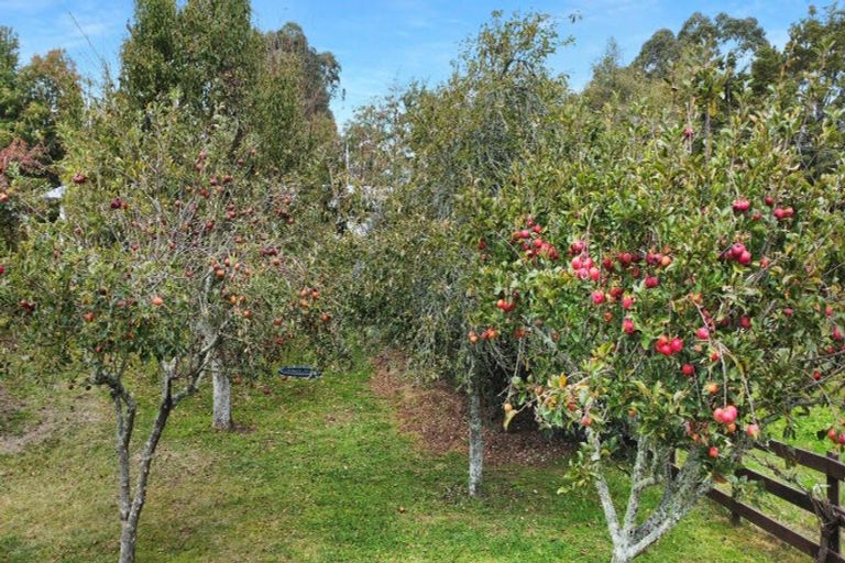 Photo of property in 88 Maunder Road, Awakeri, Whakatane, 3192