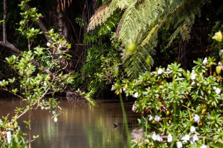 Photo of property in 73c Heta Road, Highlands Park, New Plymouth, 4312