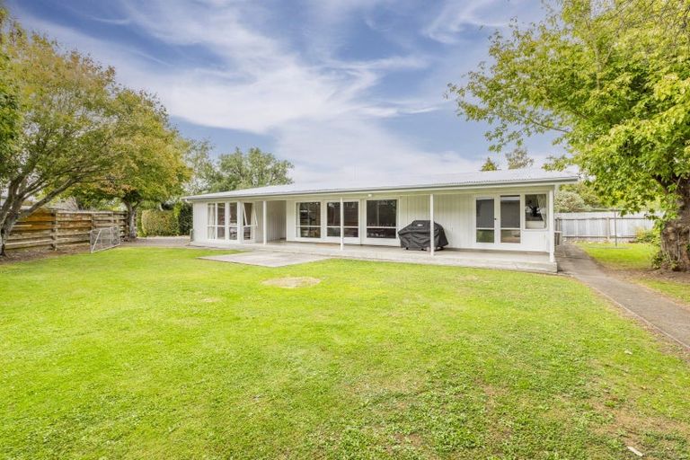 Photo of property in 132 Porangahau Road, Waipukurau, 4200