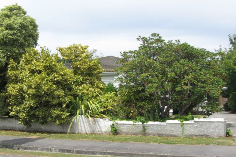 Photo of property in 100 Chapter Street, St Albans, Christchurch, 8052