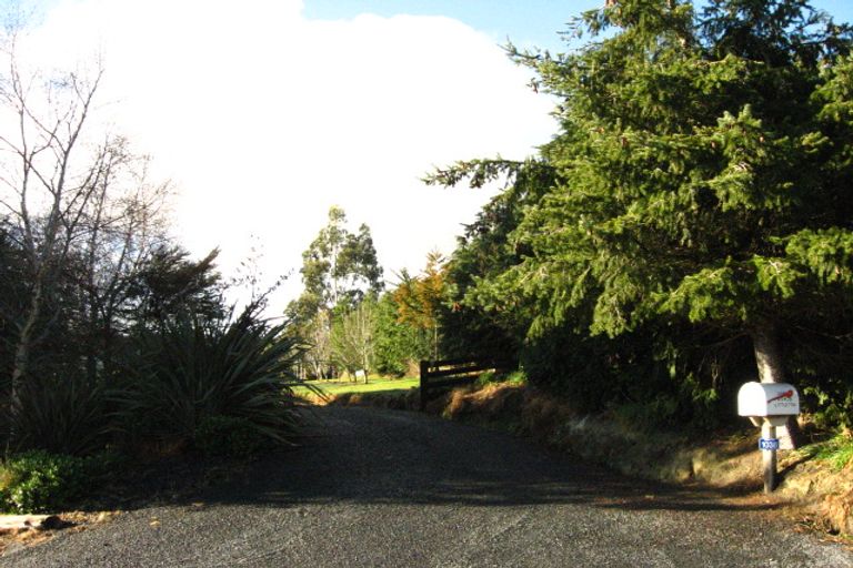 Photo of property in 1038 Mount Cargill Road, Waitati, 9085