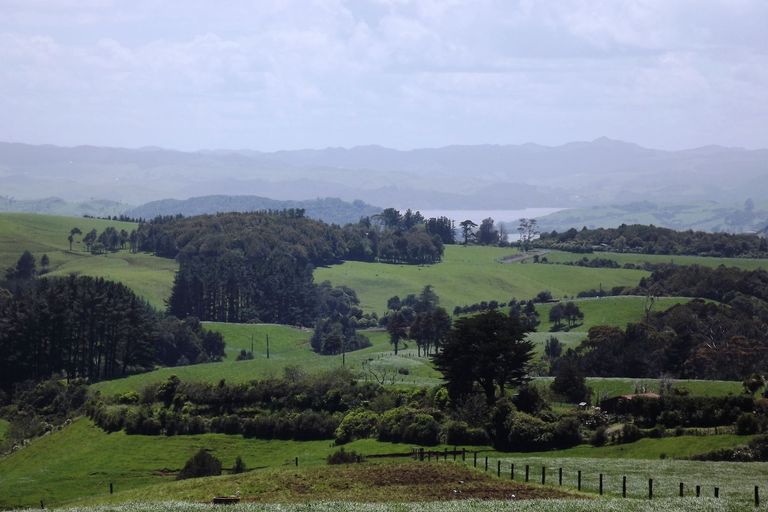 Photo of property in 712a Te Hutewai Road, Raglan, 3296