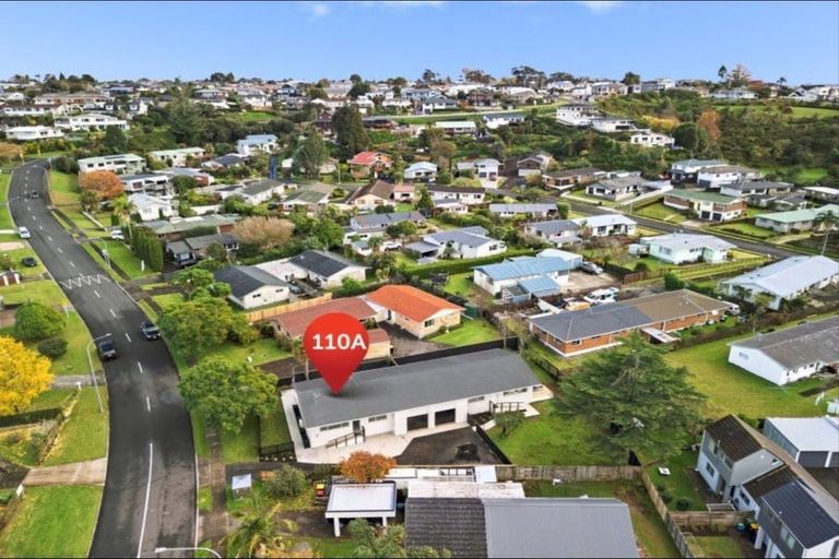 Photo of property in 110a Hinewa Road, Otumoetai, Tauranga, 3110