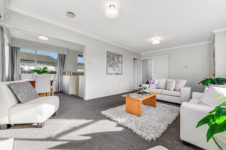 Photo of property in 44 Dalton Crescent, Dinsdale, Hamilton, 3204