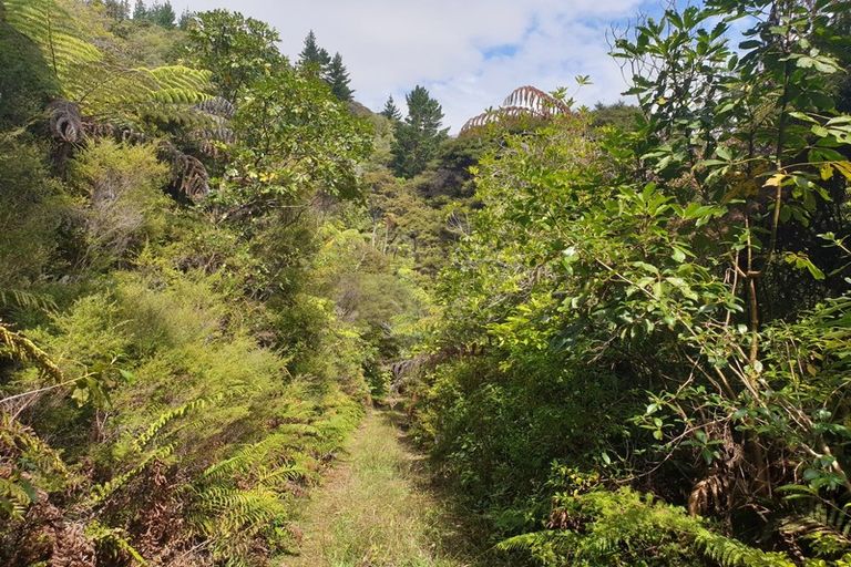 Photo of property in 980 Buffalo Road, Coromandel, 3506