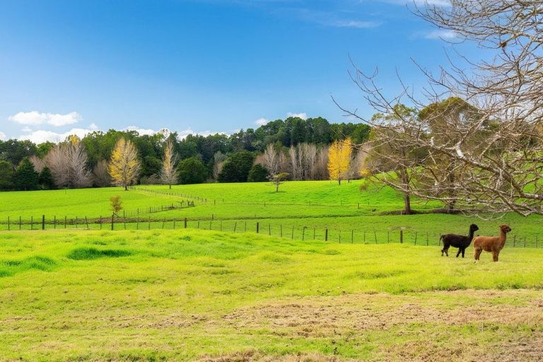 Photo of property in 47 Wilson Road, Wellsford, 0972