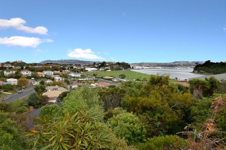 Photo of property in 35 Heath Street, Andersons Bay, Dunedin, 9013