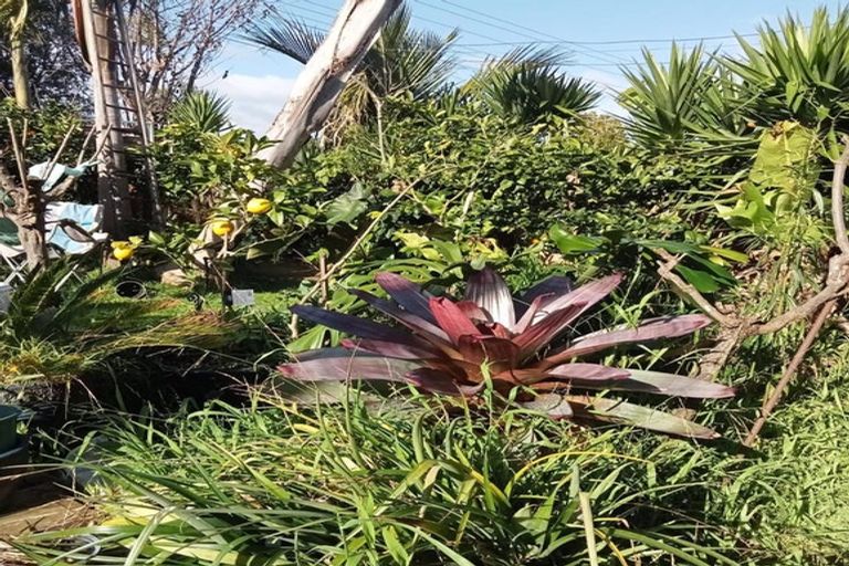 Photo of property in 40 Judea Road, Judea, Tauranga, 3110