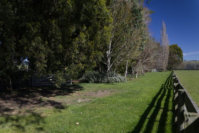 Photo of property in 1067 Milton Highway, Lovells Flat, Milton, 9292