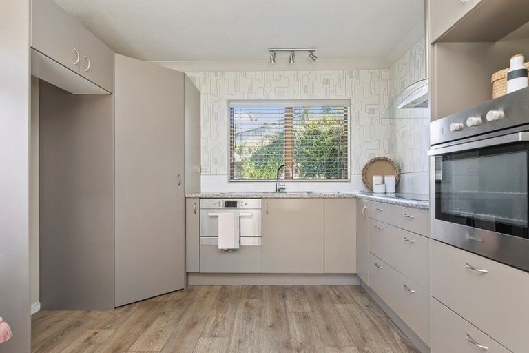 Photo of property in 14a Wikitoria Street, Maungatapu, Tauranga, 3112