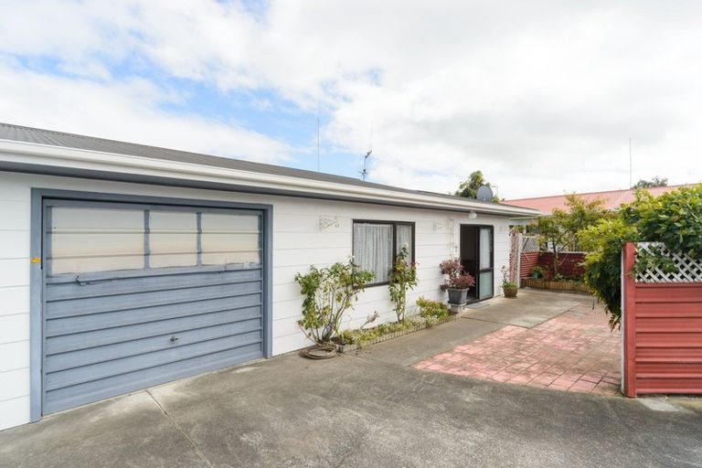Photo of property in 38a Monckton Street, Feilding, 4702