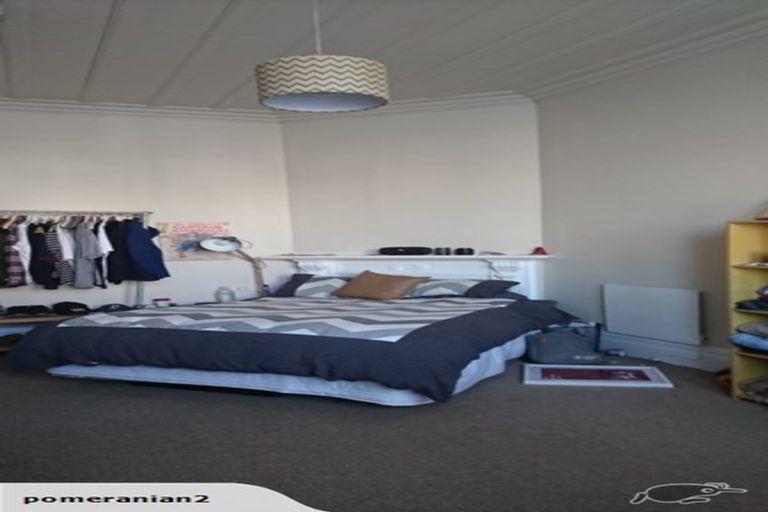 Photo of property in 124 Harbour Terrace, North Dunedin, Dunedin, 9016