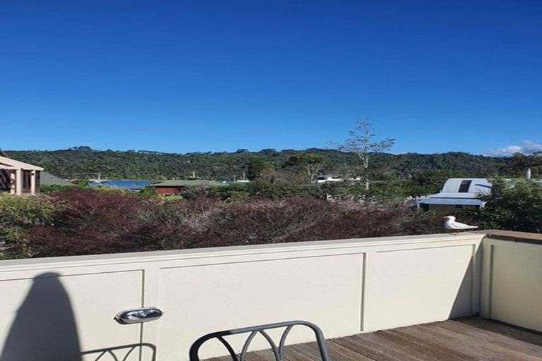 Photo of property in 131a Albert Street, Whitianga, 3510