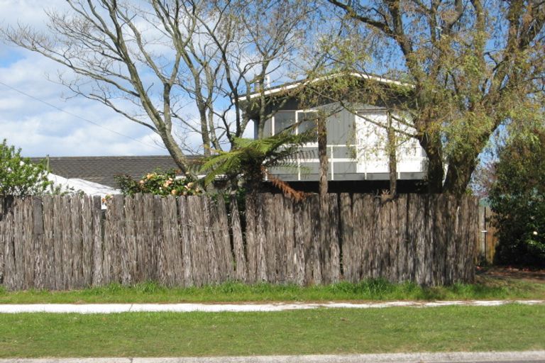 Photo of property in 21 Rimu Street, Taupo, 3330