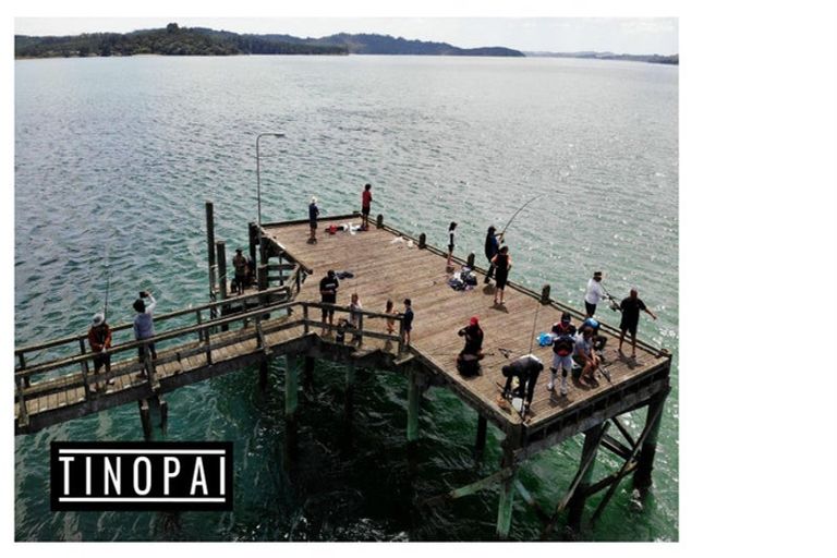 Photo of property in 1509 Tinopai Road, Tinopai, Matakohe, 0593