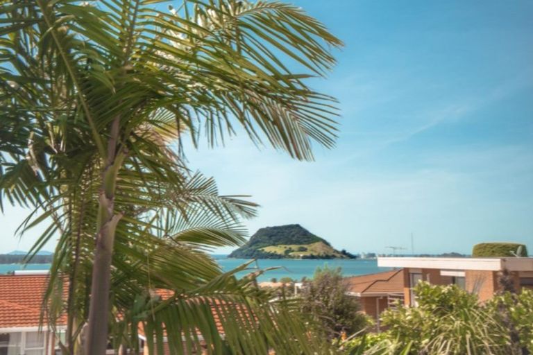 Photo of property in 12 Hazel Terrace, Otumoetai, Tauranga, 3110