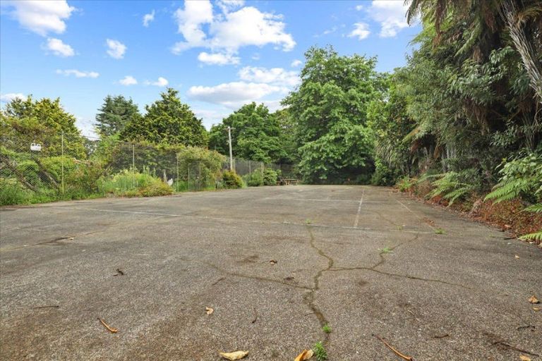 Photo of property in 488 Tapuwae Road, Maniaiti / Benneydale, Te Kuiti, 3987