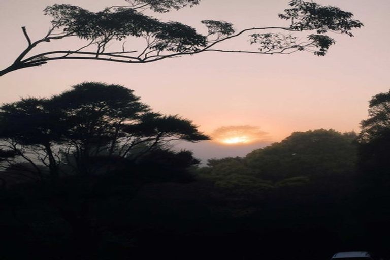 Photo of property in 10 Ketu Court, Albany Heights, Auckland, 0632