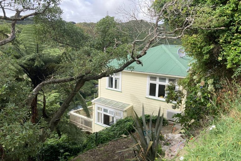 Photo of property in 31 Mount Pleasant Road, Aro Valley, Wellington, 6012