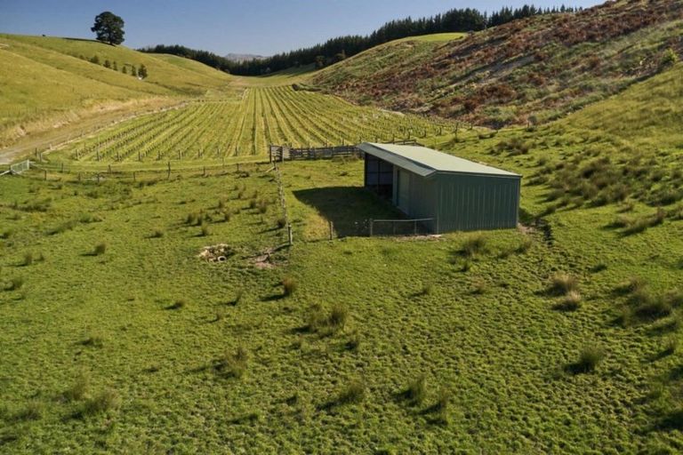 Photo of property in 486 Delta Lake Heights, Renwick, Blenheim, 7271