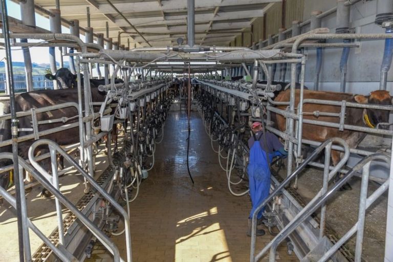 Photo of property in 939 Hudsons Road, Motukarara, Tai Tapu, 7674