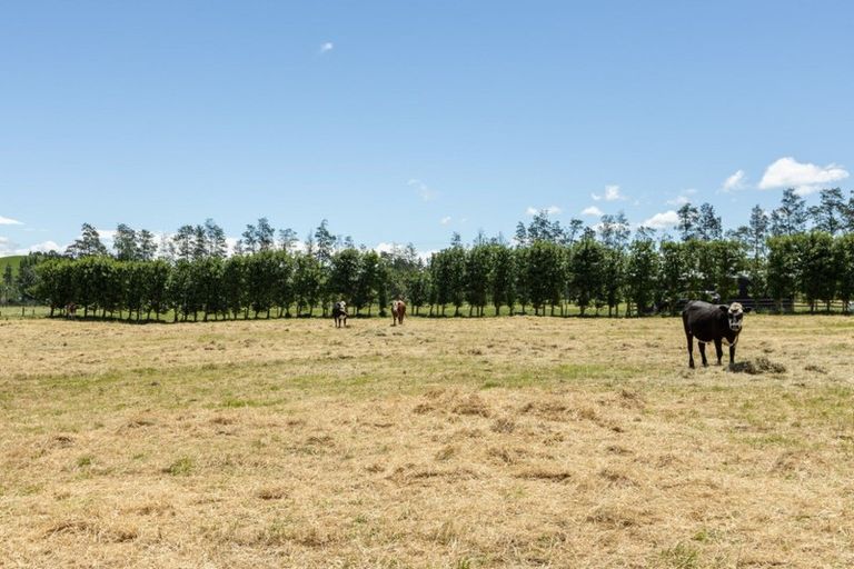 Photo of property in 1212 Ohiti Road, Crownthorpe, Hastings, 4179