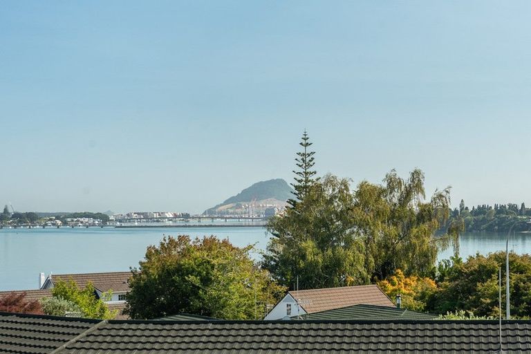 Photo of property in 345a Maungatapu Road, Maungatapu, Tauranga, 3112