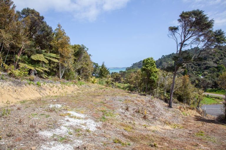 Photo of property in 258 Colville Road, Coromandel, 3584