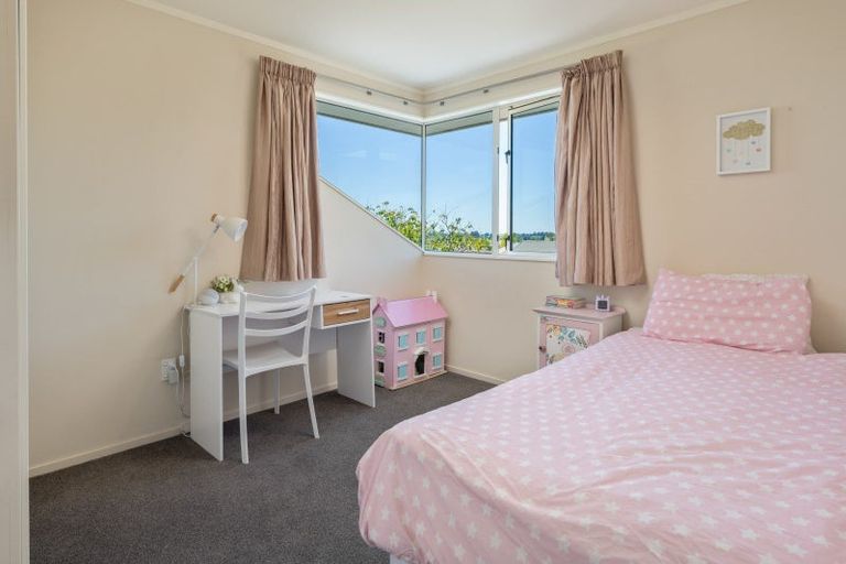 Photo of property in 20 Elisha Drive, Witherlea, Blenheim, 7201