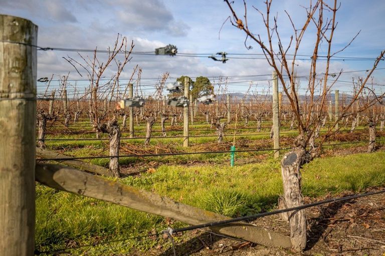 Photo of property in 21 Burnside Avenue, Springlands, Blenheim, 7272