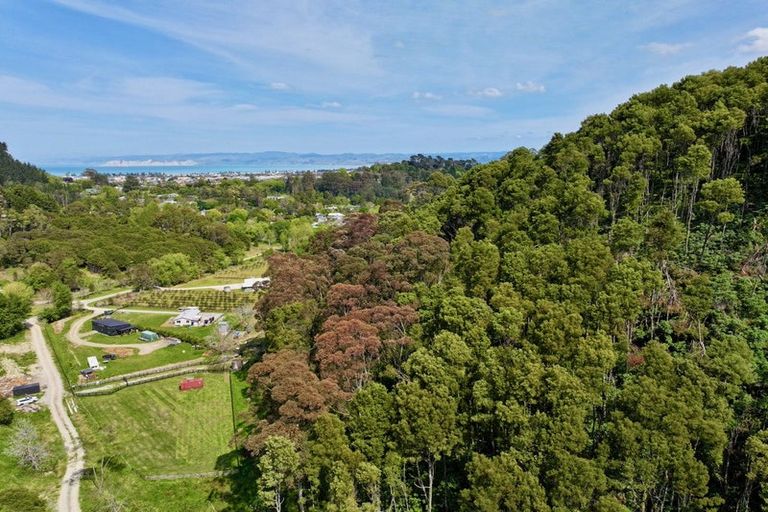 Photo of property in 58a Dryden Street, Whataupoko, Gisborne, 4010
