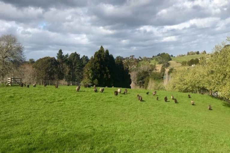 Photo of property in 115 Glenmore Road, Coatesville, Albany, 0793