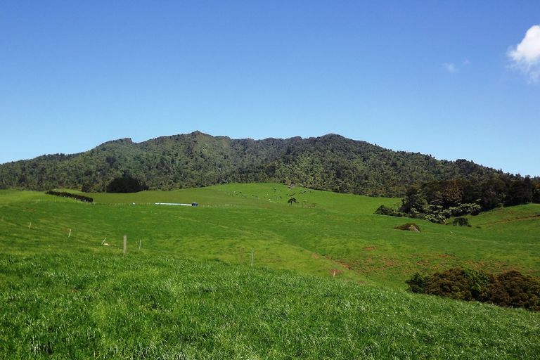 Photo of property in 712a Te Hutewai Road, Raglan, 3296