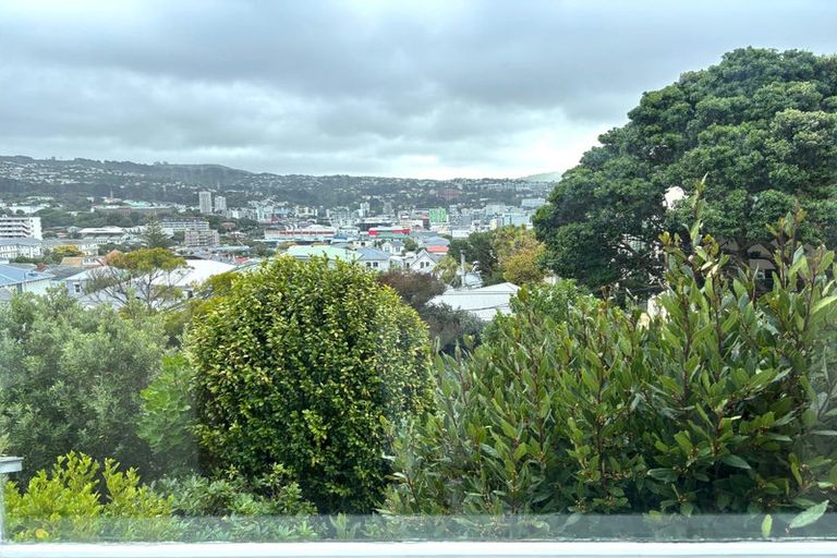 Photo of property in 17 Scarborough Terrace, Mount Victoria, Wellington, 6011