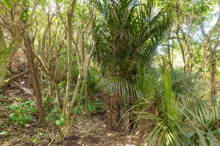 Photo of property in 196 Newton Road, Omapere, Kaikohe, 0473