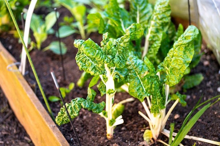 Photo of property in 2/32 Nikau Street, Stoke, Nelson, 7011