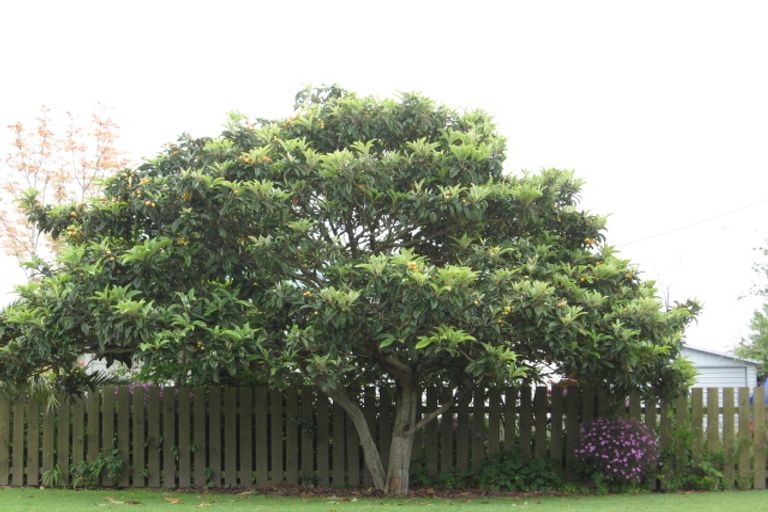 Photo of property in 55 Union Street, Opotiki, 3122