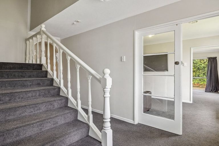 Photo of property in 17a Buccleugh Street, North East Valley, Dunedin, 9010