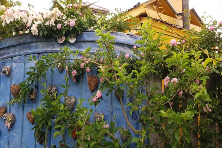 Photo of property in 37 Gillies Crescent, Waimarama, Havelock North, 4294