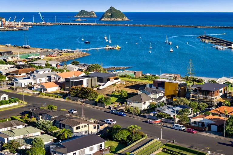 Photo of property in 38 Birdwood Avenue, Moturoa, New Plymouth, 4310