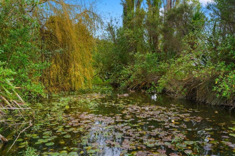 Photo of property in 173b Tara Road, Mangawhai, 0573