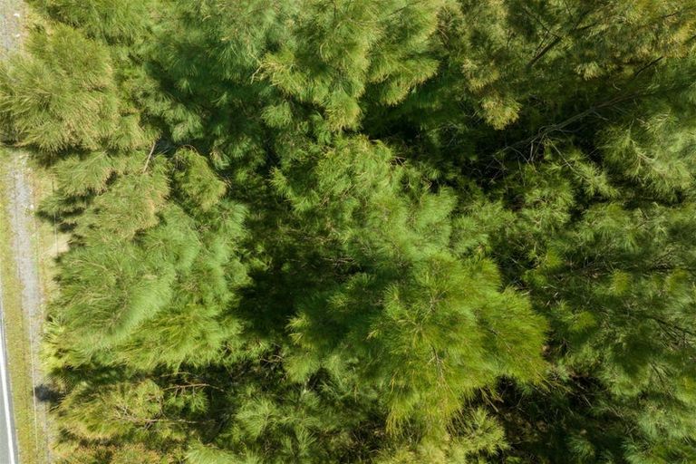 Photo of property in 3687 State Highway 12, Taheke, Kaikohe, 0473