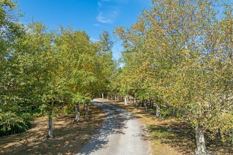 Photo of property in 203 West Bush Road, Upper Plain, Masterton, 5888