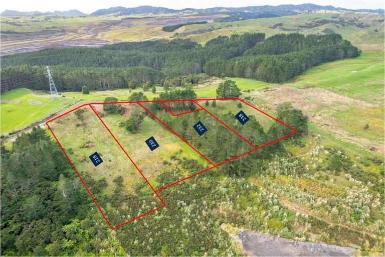 Photo of property in 218 Hangapipi Road, Rotowaro, Huntly, 3771